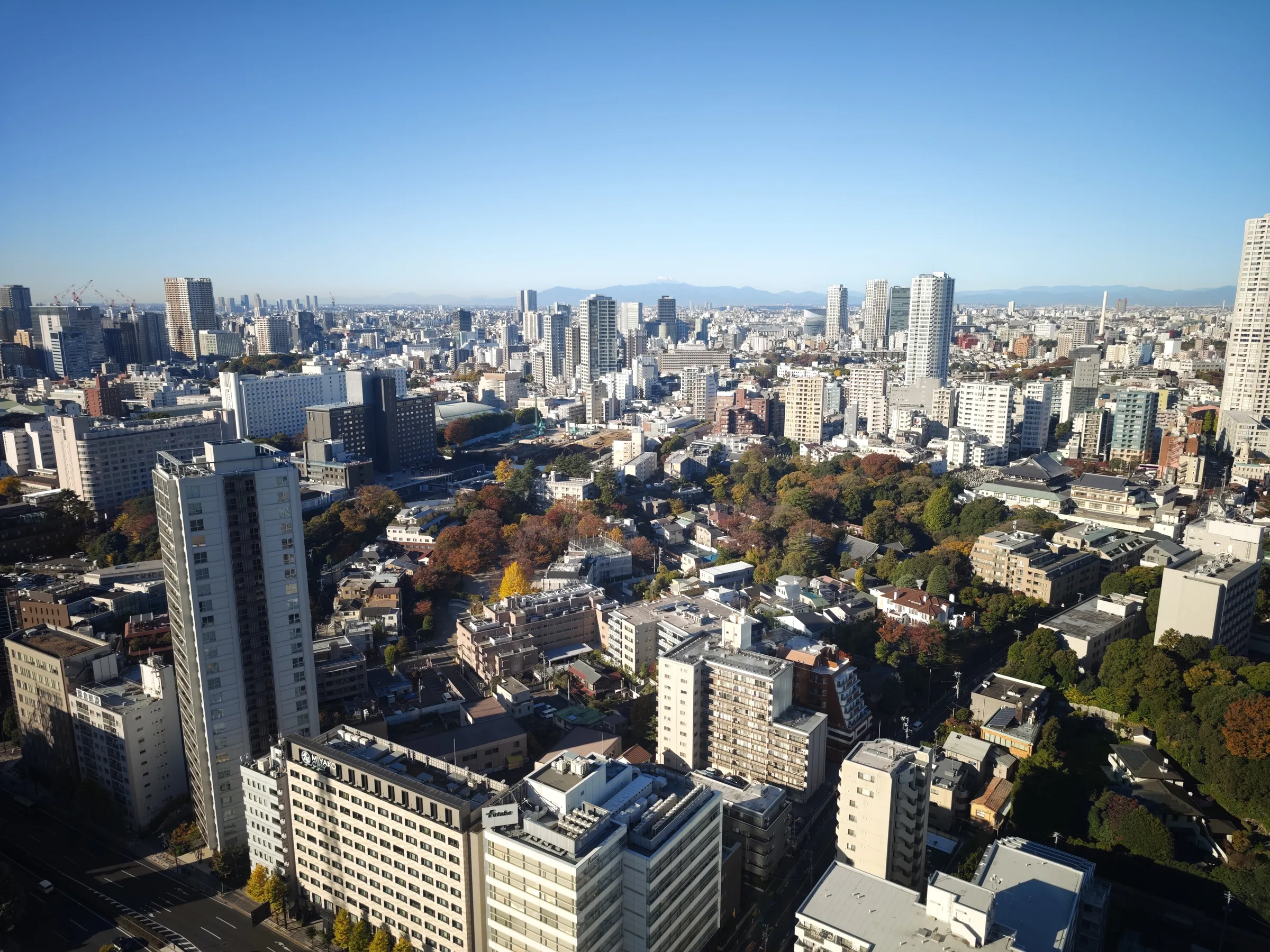 ラウンジ朝食時に撮影した眺望(2025年下半期)